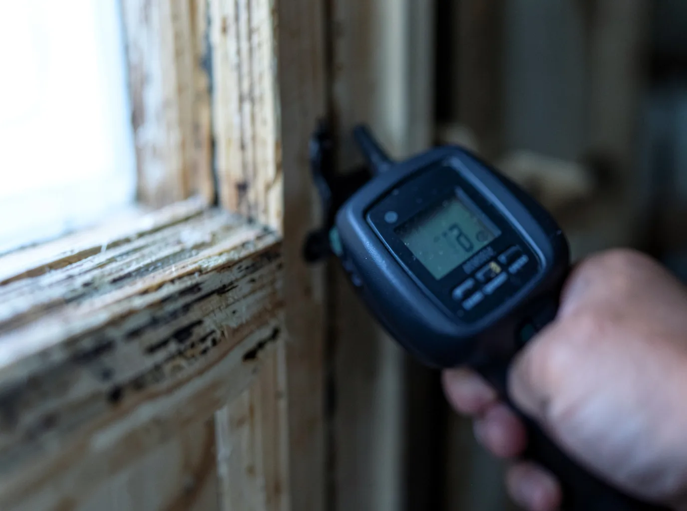 Moisture Inspection And Documentation in Hartley, IA